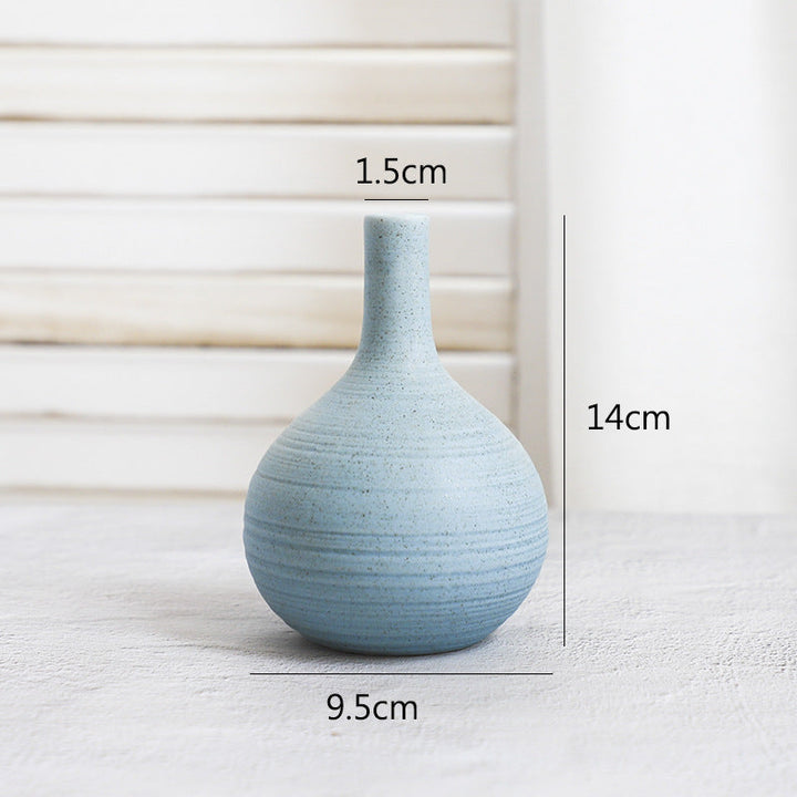 Transform Your Space with Our Creative Ceramic Hydroponic Desk Vase